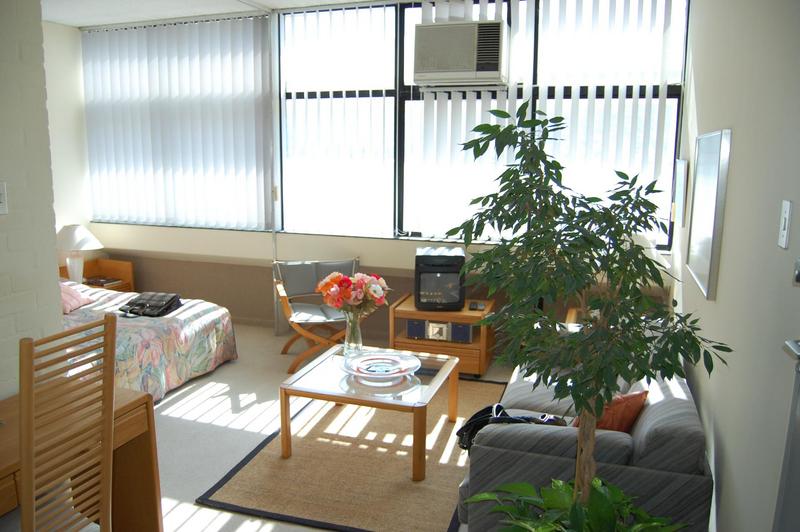 To Let 0 Bedroom Property for Rent in Oranjezicht Western Cape